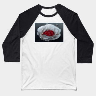 Red And White Rose With Raindrops, Macro Background, Close-up Baseball T-Shirt